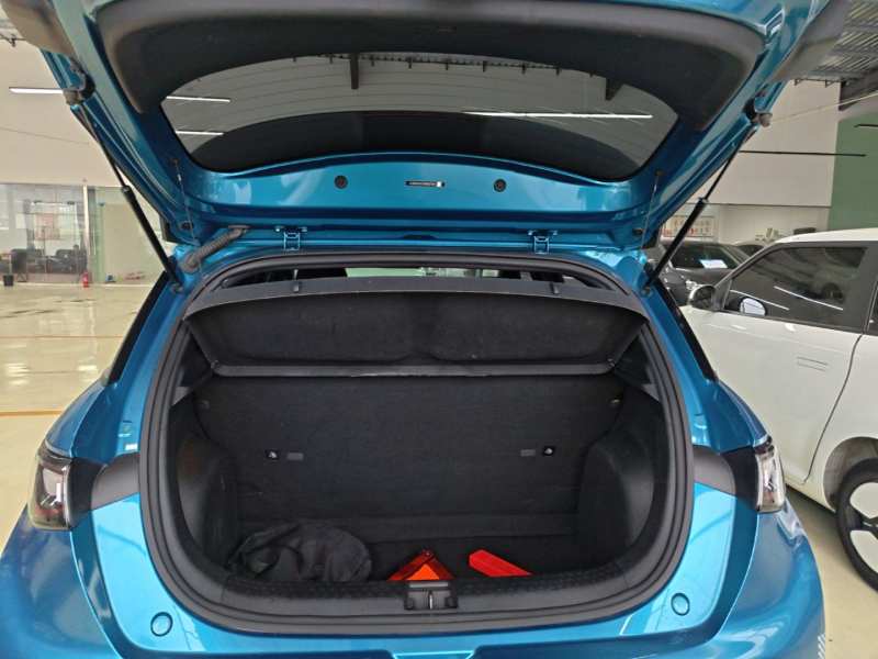 Used BYD Dolphin 2021 405 km Fashion Edition — 18