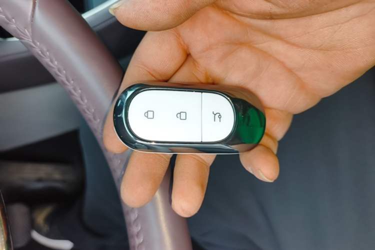 Used Leapmotor C11 2023 Pure Electric 500 Smart Edition