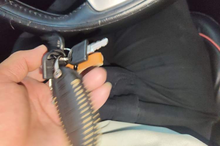 Used Nissan Qashqai 2021 2.0L CVT Luxury Edition
