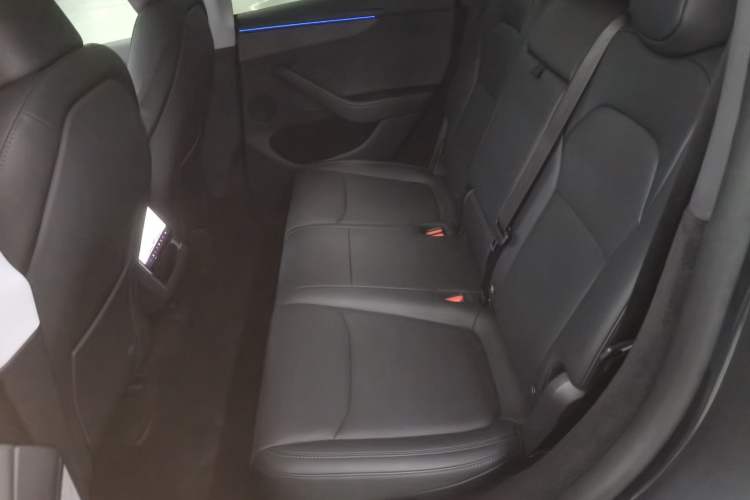 Used Tesla Model Y 2025 Long-Range All-Wheel Drive First Edition Left Rear Seat