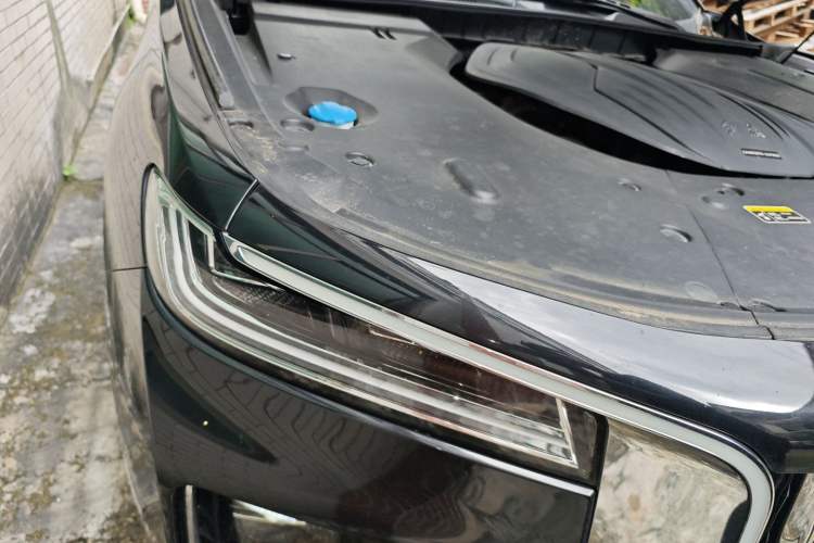Used Hongqi H9 2020 2.0T Smart Connect Flagship Edition
