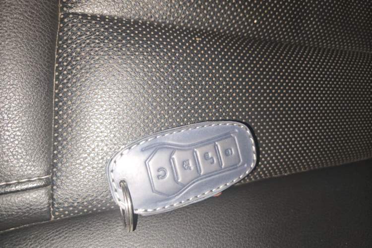 Used BYD Tang 2018 2.0T Automatic Smart Connect Prestige 7-Seater China V Standard