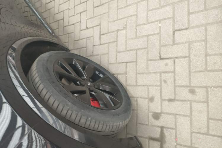 Used Li Auto L8 2023 Pro Model
