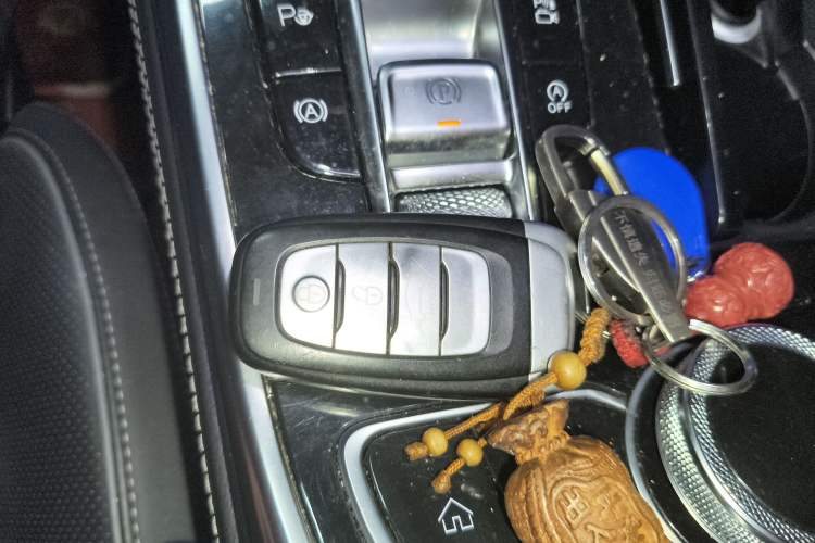 Used Hongqi H9 2020 2.0T Smart Connect Flagship Edition
