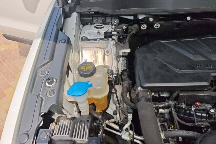 Used Haval DARGO 2021 Revised Version 1.5T DCT Two-Wheel Drive "Mǎquǎn" Edition
