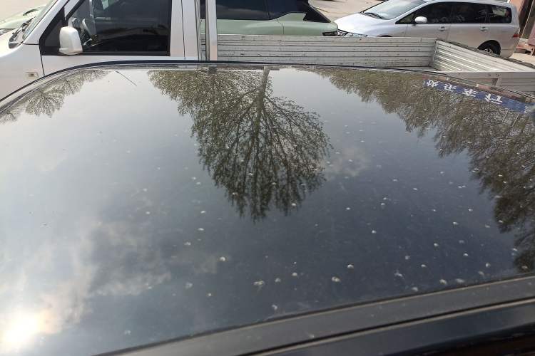 Used Chery QQ Ice Cream 2024 Edition Youth Version 205km Sundae
