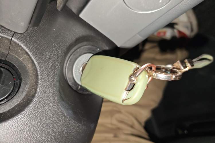 Used Qiyuan Lumin 2023 205km Xiangqin Version