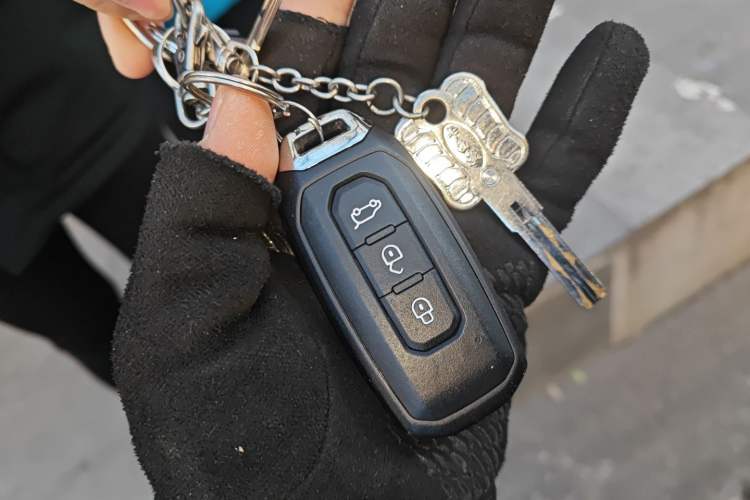 Used Ford Territory 2020 Lingjie S EcoBoost 145 CVT Platinum Edition