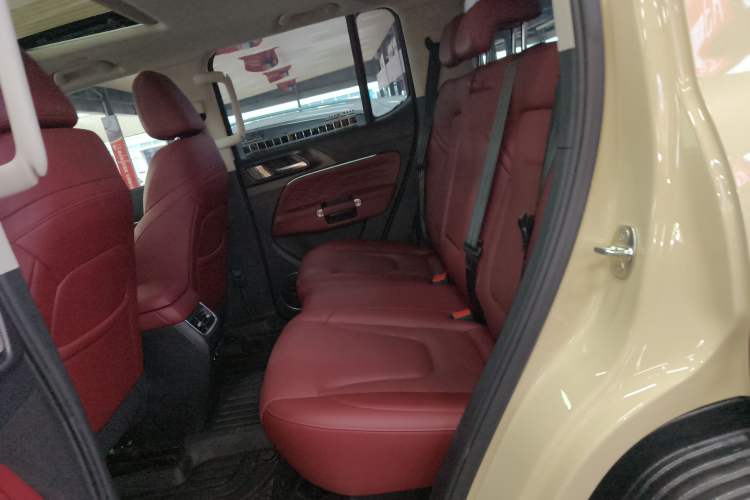 Used Tank 300 2025 2.4T Diesel Version
