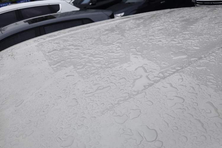 Used BYD Seagull 2025 305 km Free Version Roof