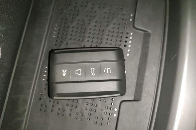 Used Tank 300 2024 2.0T Crosser
