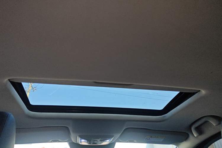 Used Great Wall Poer 2019 2.0T Automatic Gasoline Two-Wheel Drive Comfort Edition GW4C20B Headliner