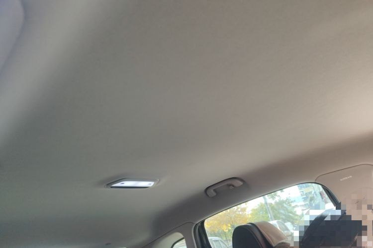 Used Denza Denza 2014 Deluxe Edition