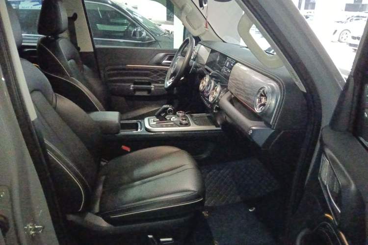 Used Tank 300 2024 2.0T Conqueror