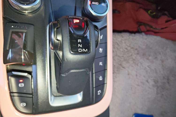 Used Tank 300 2021 City Edition 2.0T—Truly Stylish