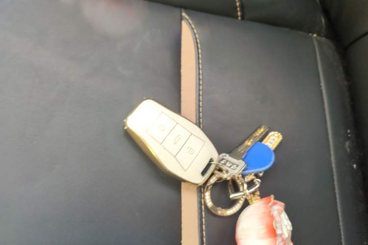 Used SOL E10X 2022 Flower Fairy Design Four-Leaf Clover Vehicle Key