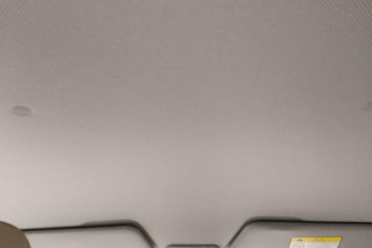 Used Wuling Hongguang MINIEV 2024 3rd Generation 215km Youth Edition Headliner