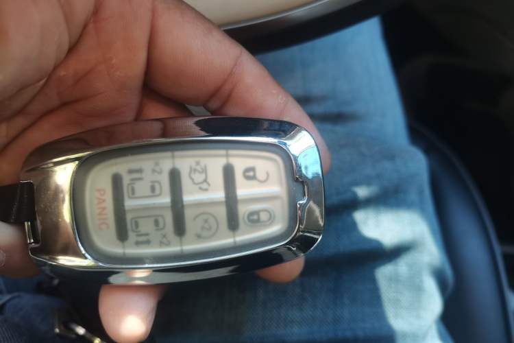 Used Chrysler Grand Voyager PHEV 2019 3.6L Plug-in Hybrid