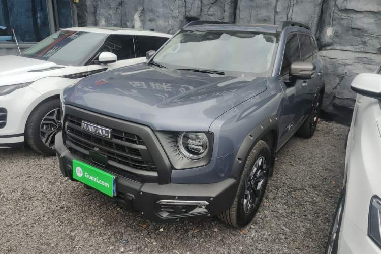 Used Haval DARGO 2024 2.0T DCT Chinese Rural Dog Edition