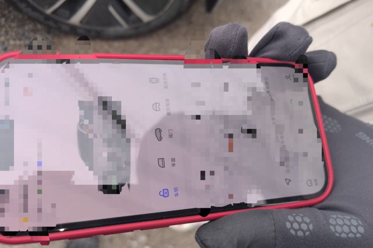 Used Li Auto L6 2024 Pro Model
