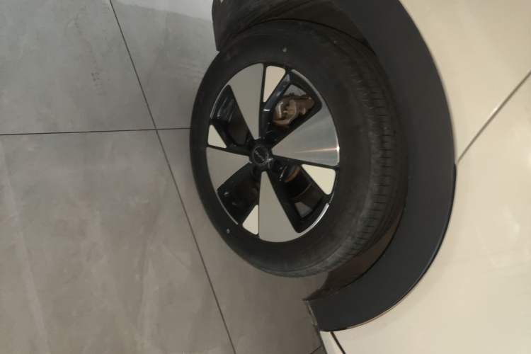 Used BYD Dolphin 2024 Honor Edition 420km Fashion Version
