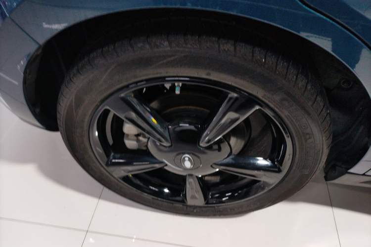 Used ORA Good Cat 2024 401 km Luxury Version