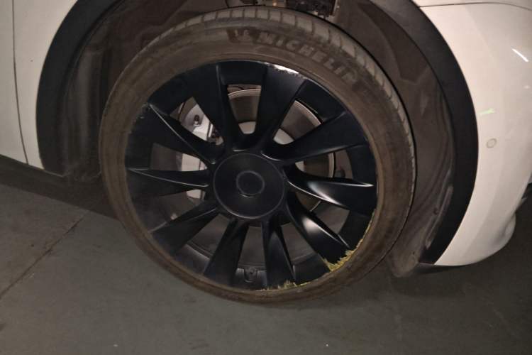 Used Tesla Model Y 2021 Long-Range All-Wheel-Drive Version