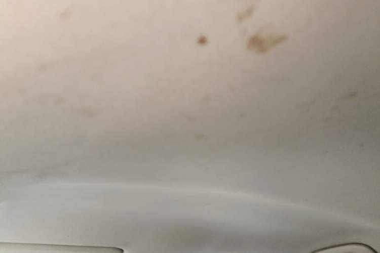 Used Toyota Corolla 2022 1.2T S-CVT Pioneer PLUS Edition Headliner