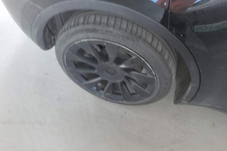 Used Tesla Model Y 2022 Long-Range All-Wheel-Drive Version
