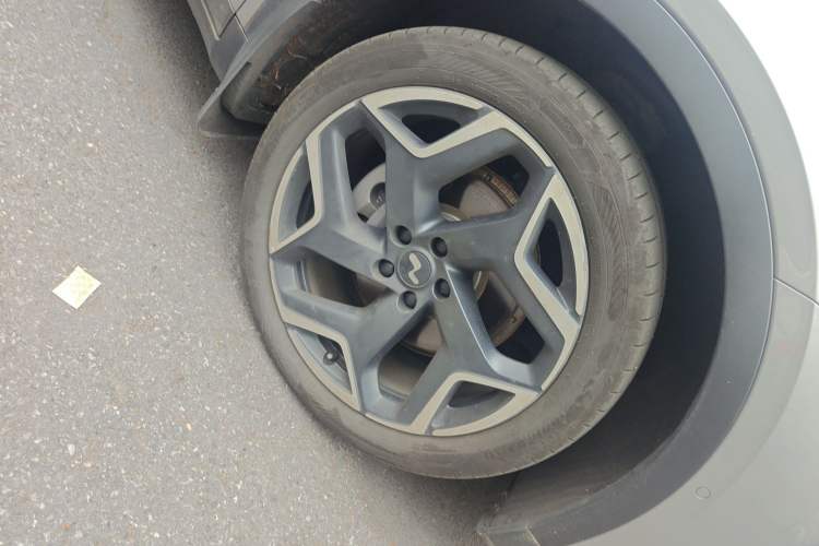 Used ONVO L60 2024 60 kWh Rear-Drive Version