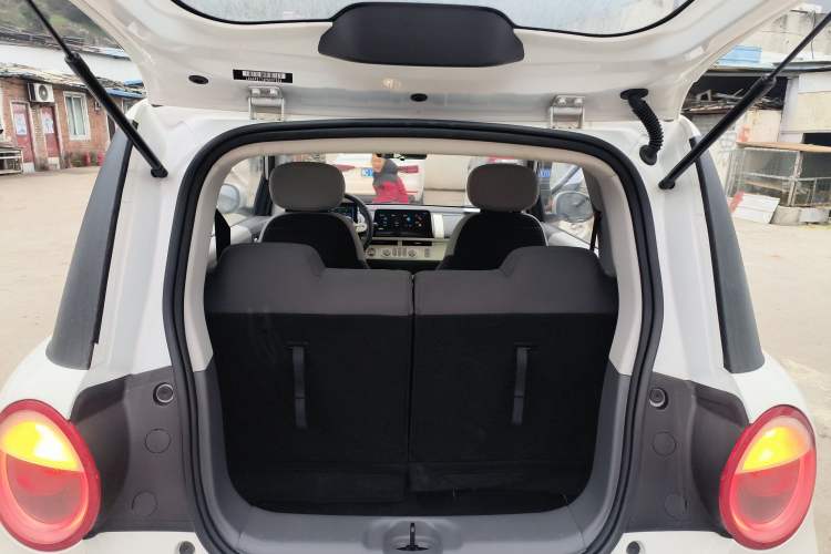 Used Qiyuan Lumin 2023 205km Xiangqin Version
