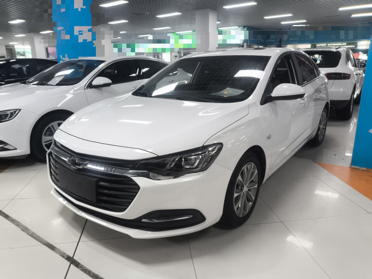 Parte inferior delantera