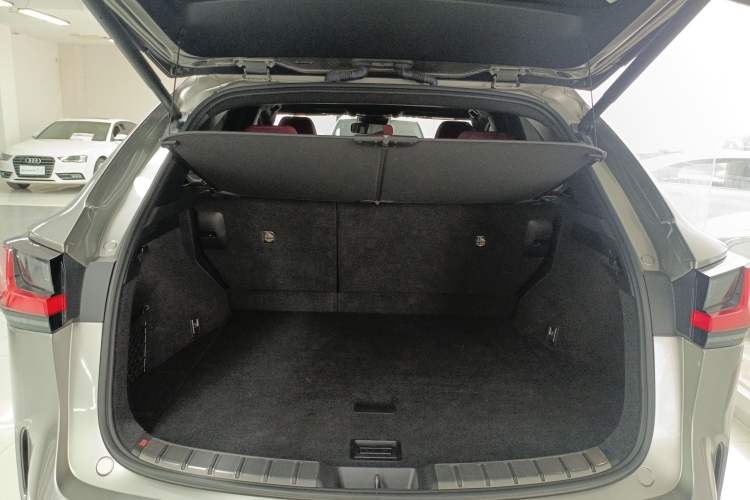 Used Lexus NX 2022 260 Front-Wheel Drive Chuan Yue Edition
