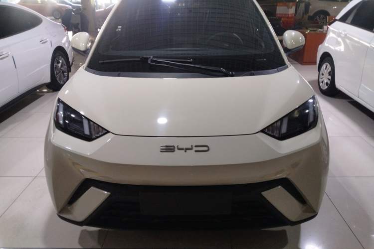 Used BYD Seagull 2023 Active Version
