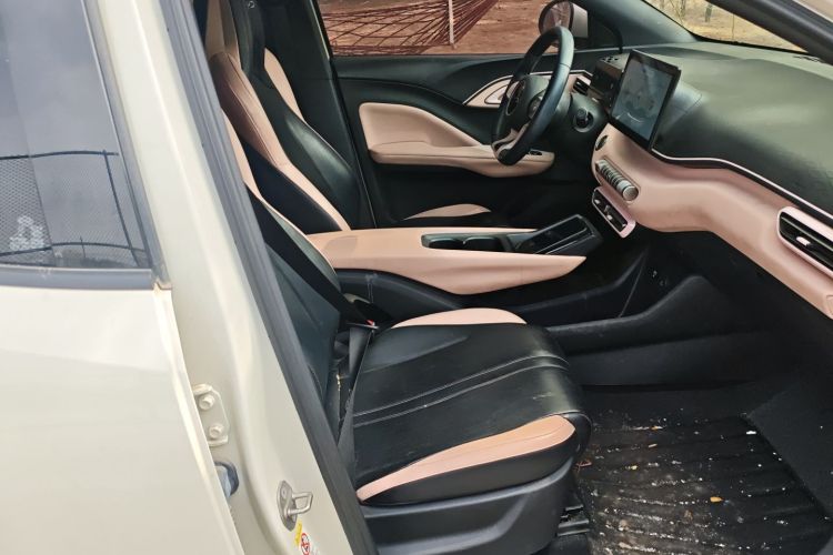 Used BYD Seagull 2023 Flying Edition Right Front Seat