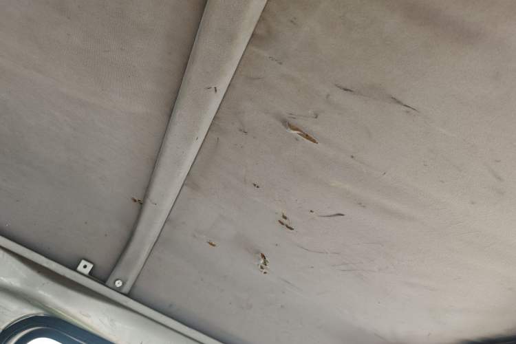 Used Wuling Zhiguang 2013 1.0L Practical Version Headliner