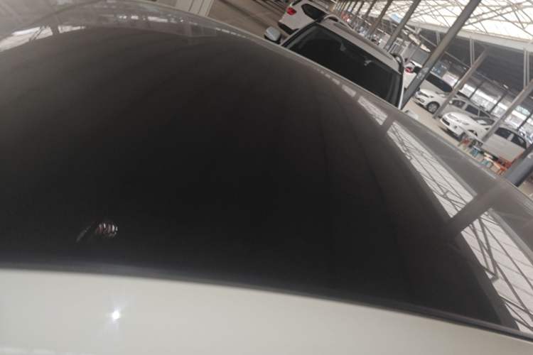 Used BYD Dolphin 2024 Honor Edition 420km Fashion Version