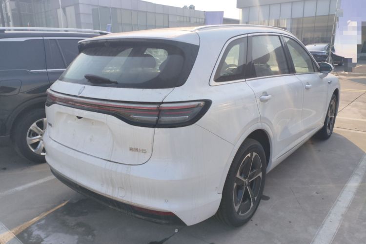 Used Hima H5 2025 Model Pure Electric Max