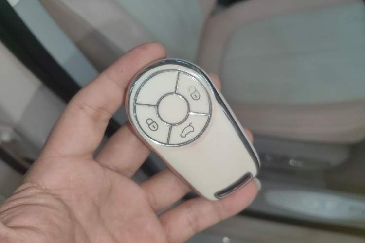 Used ORA Ballet Cat 2023 401 km Luxury Version
