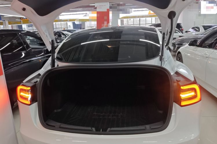 Used Tesla Model 3 2021 Standard Range Rear-Wheel Drive Upgraded Version 3D6
