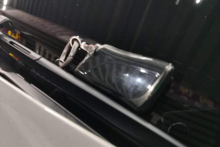 Used Lexus RX 2025 300 Four-Wheel Drive Junxiang Edition
