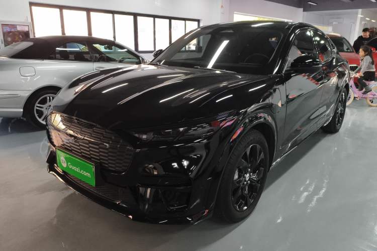 Used Ford Mustang Mach-E 2021 AION Y Plus Rear-Drive Luxury Edition (Long Range)