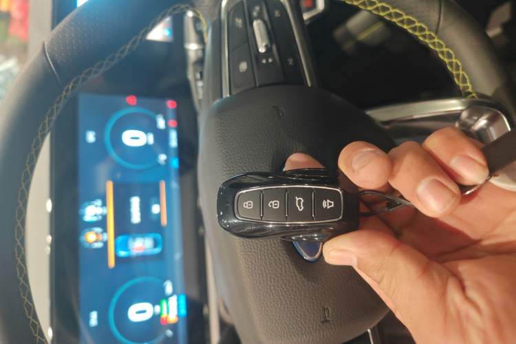 Used Ford Equator Sport New Energy 2025 Platinum Edition