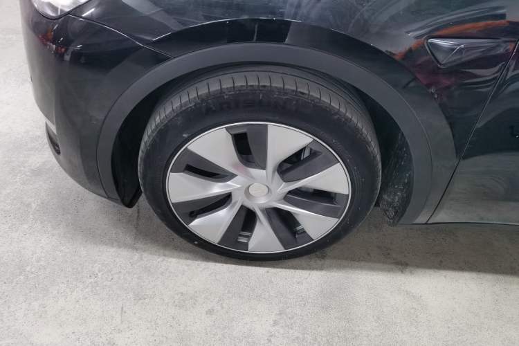 Used Tesla Model Y 2021 Standard Range Rear-Wheel Drive Version
