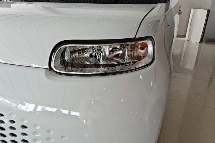 Used ORA White Cat 2020 360 km Luxury Version
