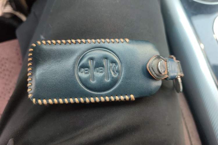 Used EXEED TX 2020 1.6T Two-Wheel Drive Star Edition