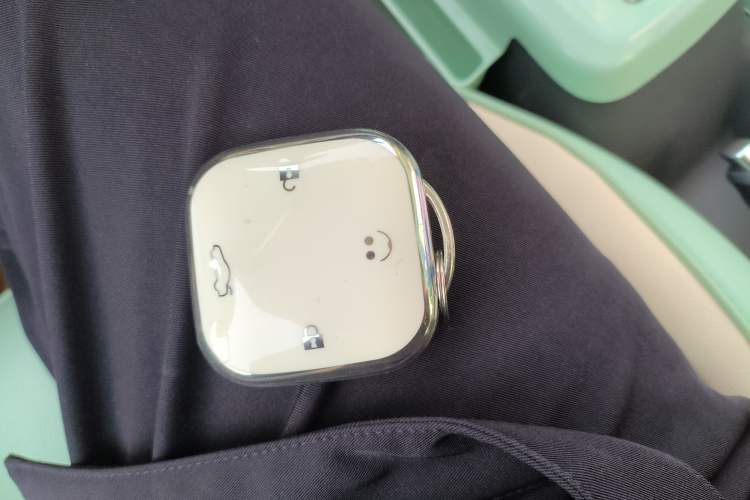 Used Qiyuan Lumin 2023 301km Honey Dew Edition
