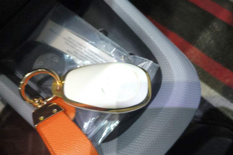 Used Leapmotor T03 2020 400 Luxury Edition