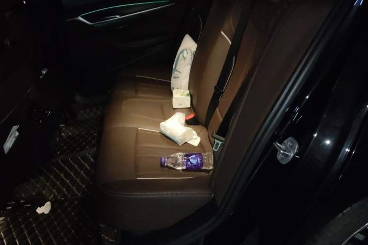 Used BMW 5 Series 2021 530Li Leading Model M Sport Package Left Rear Seat