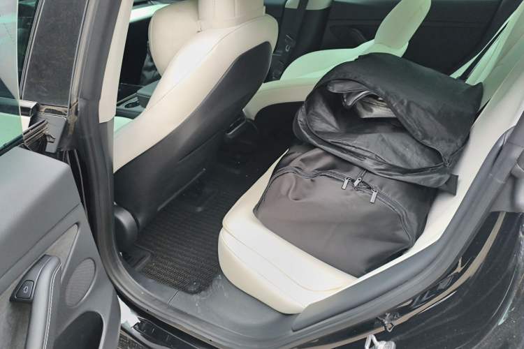 Used Tesla Model 3 2022 Rear-Wheel-Drive Version